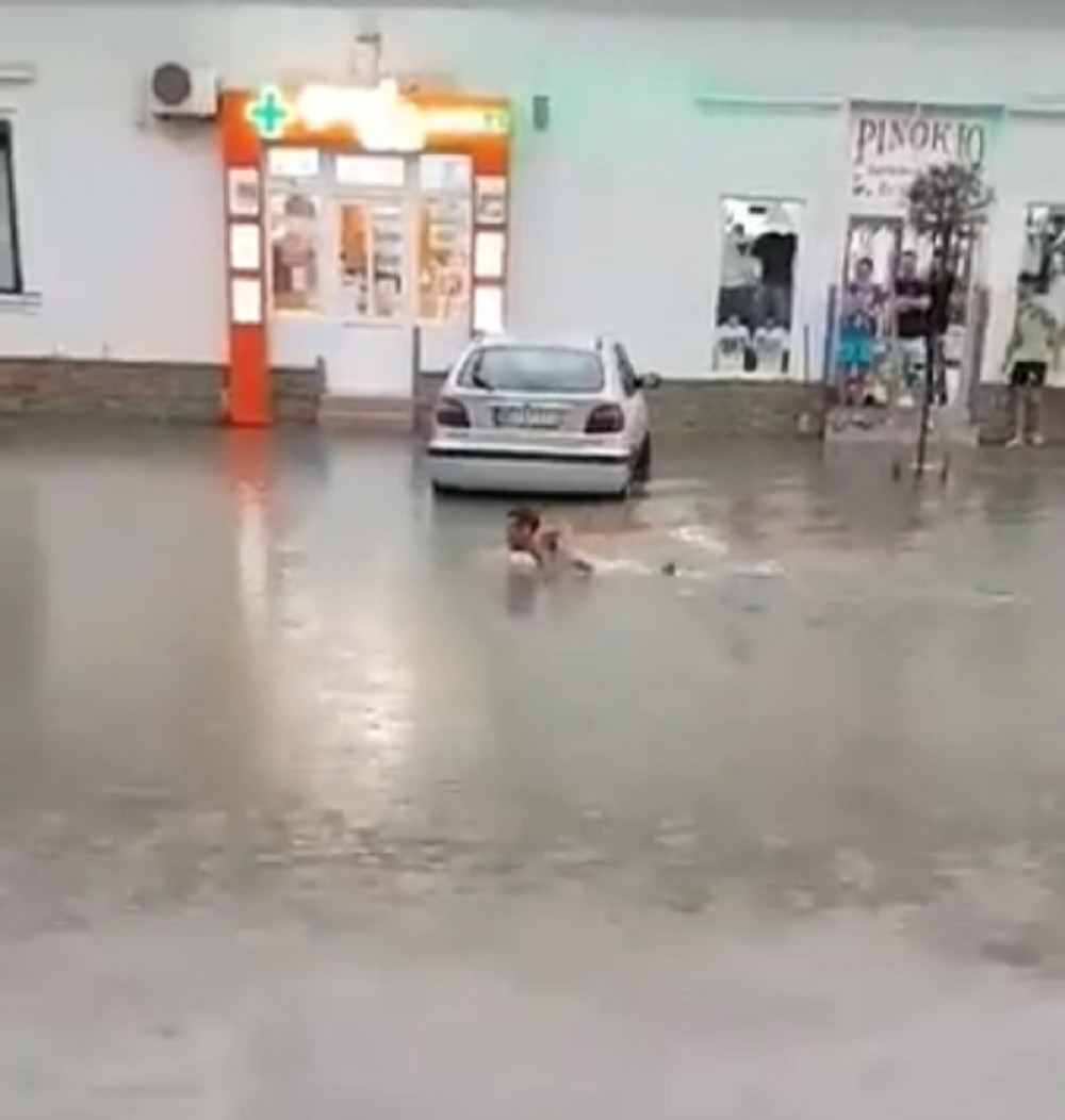 Usred haosa i opšteg potopa u Futogu, on je centralnom ulicom ZAPLIVAO KRAUL! (VIDEO)