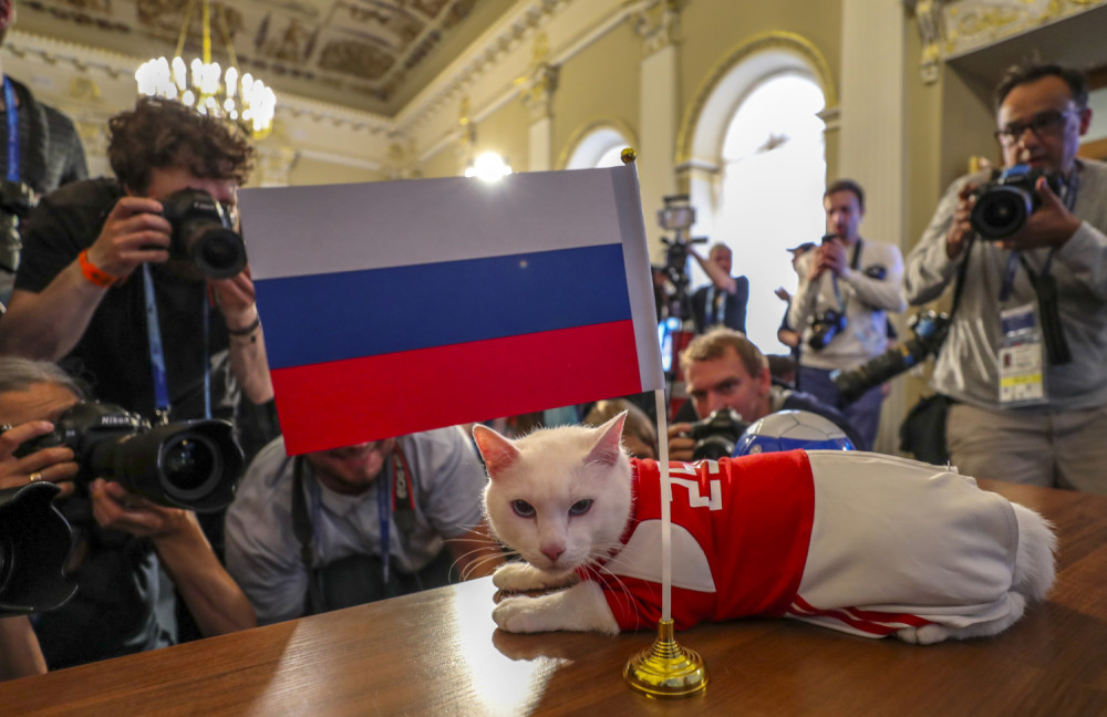 Ostvaruje li se PROROČANSTVO Putinovog mačka - Rusija šampion sveta? (VIDEO)