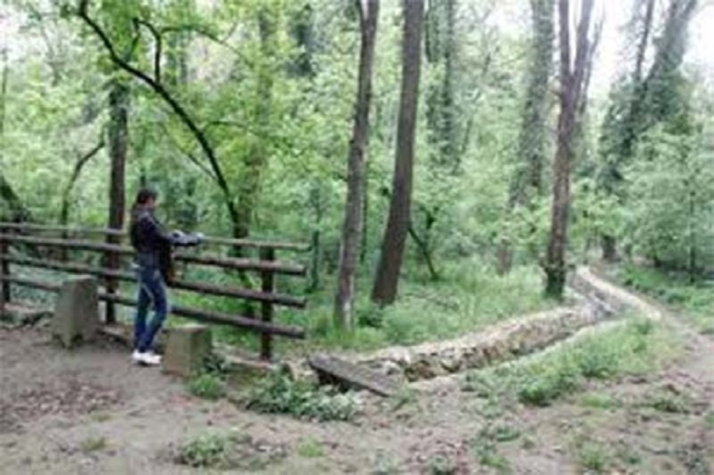 Voja čuo ČUDAN zvuk dok je brao pečurke, okrenuo se i ugledao ZVER, sad SVI STRAHUJU ZA ŽIVOT!