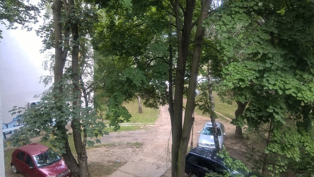 Mnogo si lepa, PRATIM te 4 godine i MORAM DA TE IMAM!