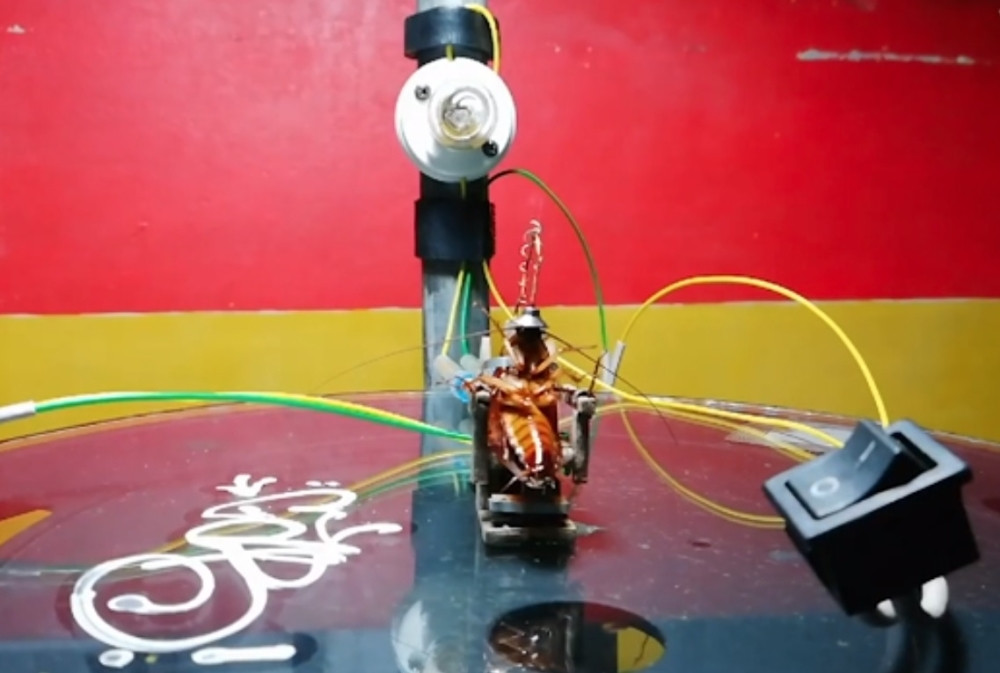 Ovo je DEFINITIVNO NAJČUDNIJI snimak koji ćete videti danas!