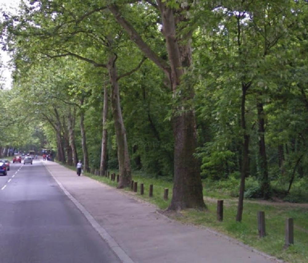 Ekipa mladih ljudi pronašla je vredne stvari, ali nije to bilo ono što ih je iznenadilo! (FOTO)