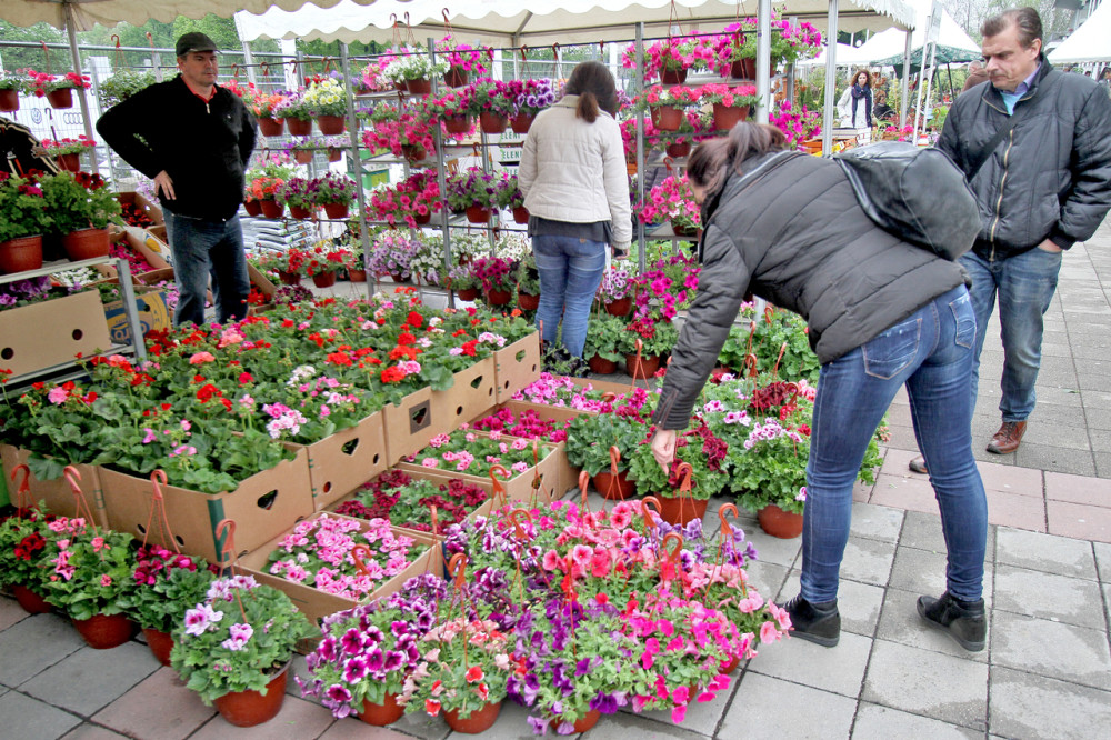 Naberite cveće i uvežite crvenim končićem jer nosi MOĆ, a obavezno uradite JEDNU STVAR pored toga