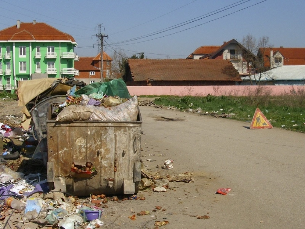 Zmije, pacovi i glodari PREPLAVILI ulice, građani ne znaju KAKO da se odbrane