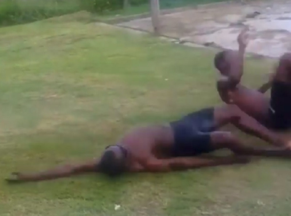 Oni su šampioni u OVOM SPORTU, kad vidite kako se takmiče, VRIŠTAĆETE od smeha! (VIDEO)