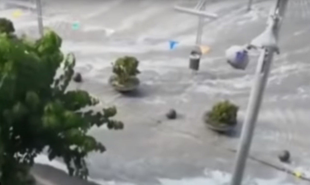 Otac i majka su izgubili dvoje dece, a posle 14 godina bili su pred INFARKTOM kada su ugledali OVAJ prizor! (VIDEO)