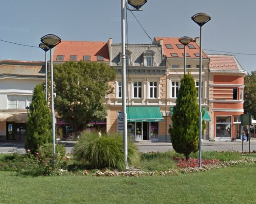 Penzionerka zbog KESTENA slomila obe ruke, grad joj isplatio VRTOGLAVU SUMU, a ono što je usledilo baš ju je RAZLJUTILO!