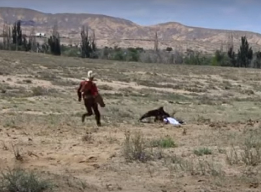 Orao zgrabio devojčicu (8), priklještio je kandžama i UNAKAZIO JOJ TELO (UZNEMIRUJUĆ VIDEO)