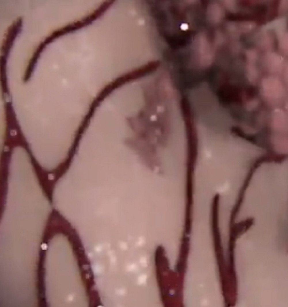 Kada pogledate ovaj snimak, momentalno ćete OSTAVITI CIGARETE, PRESTATI DA SE NERVIRATE, KRENUTI DA SE HRANITE ZDRAVO...