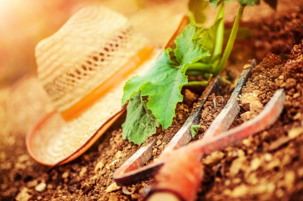 Posvađale se komšije, usledio je KLASIČAN SRPSKI SEOSKI OBRAČUN!