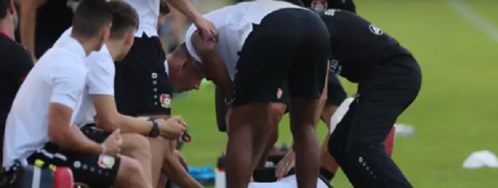 Ostao je NEPOMIČAN da leži na travi, svi su odmah pomislili na NAJGORE! (VIDEO)