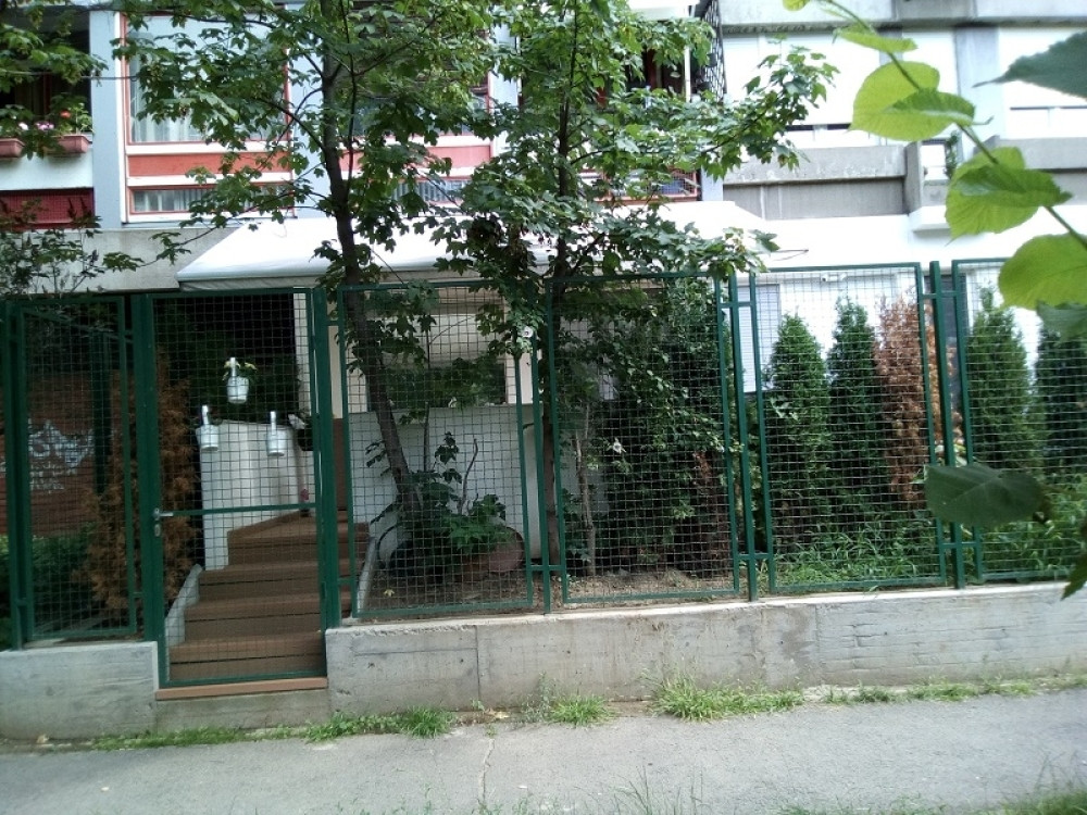 Žuti cvet u LOKVI KRVI na mestu gde je Miša ubijen! (FOTO)