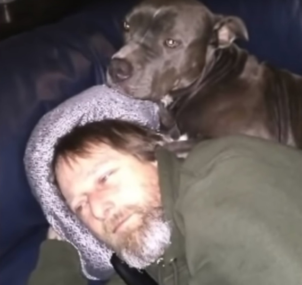 Pas ga polizao po licu, a nakon nedelju dana OSTAO BEZ OBE RUKE I OBE NOGE! (UZNEMIRUJUĆ VIDEO)