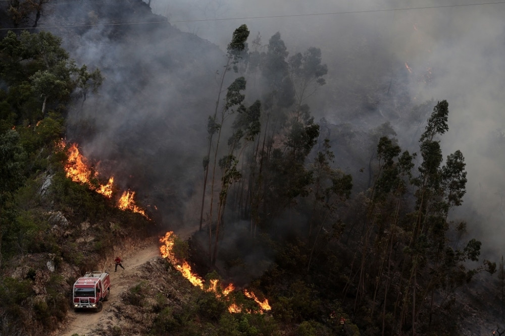 Gorelo u blizini manastira Đurđevi Stupovi (VIDEO)