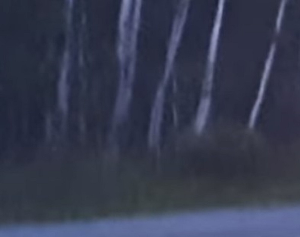 Turistkinja snimala prirodu dok je bila na odmoru, a pred kameru joj izašlo čudno čovekoliko stvorenje, NEĆETE SPAVATI NOĆAS NAKON ŠTO POGLEDATE SNIMAK