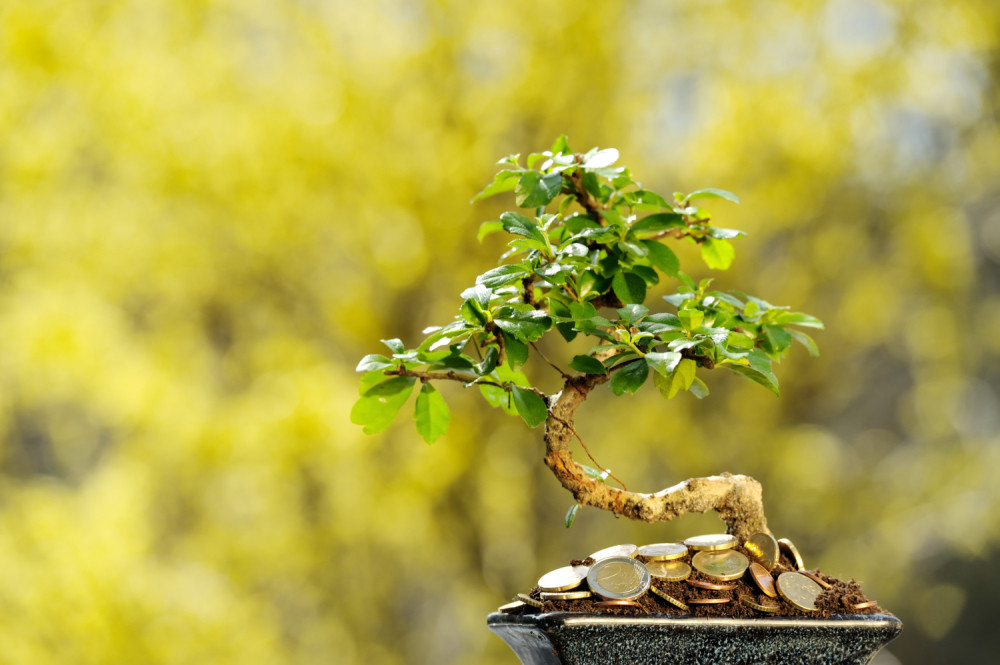 Privucite NOVAC ovim ritualom! Napravite VAZU BOGATSTVA i gledajte šta se dešava!