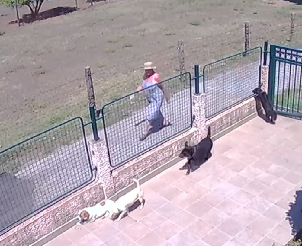 Žena monstrum otrovala komšijinog psa, pa gledala kako umire u mukama, ODALA JU JE SAMO JEDNA STVAR NA KOJU NIJE RAČUNALA