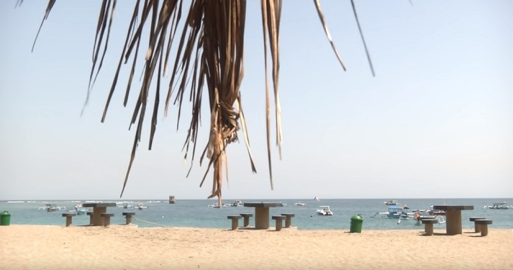 Pojeli su svu divljač, sada su im na meti ljudi, reže, keze zube, ZAVIJAJU