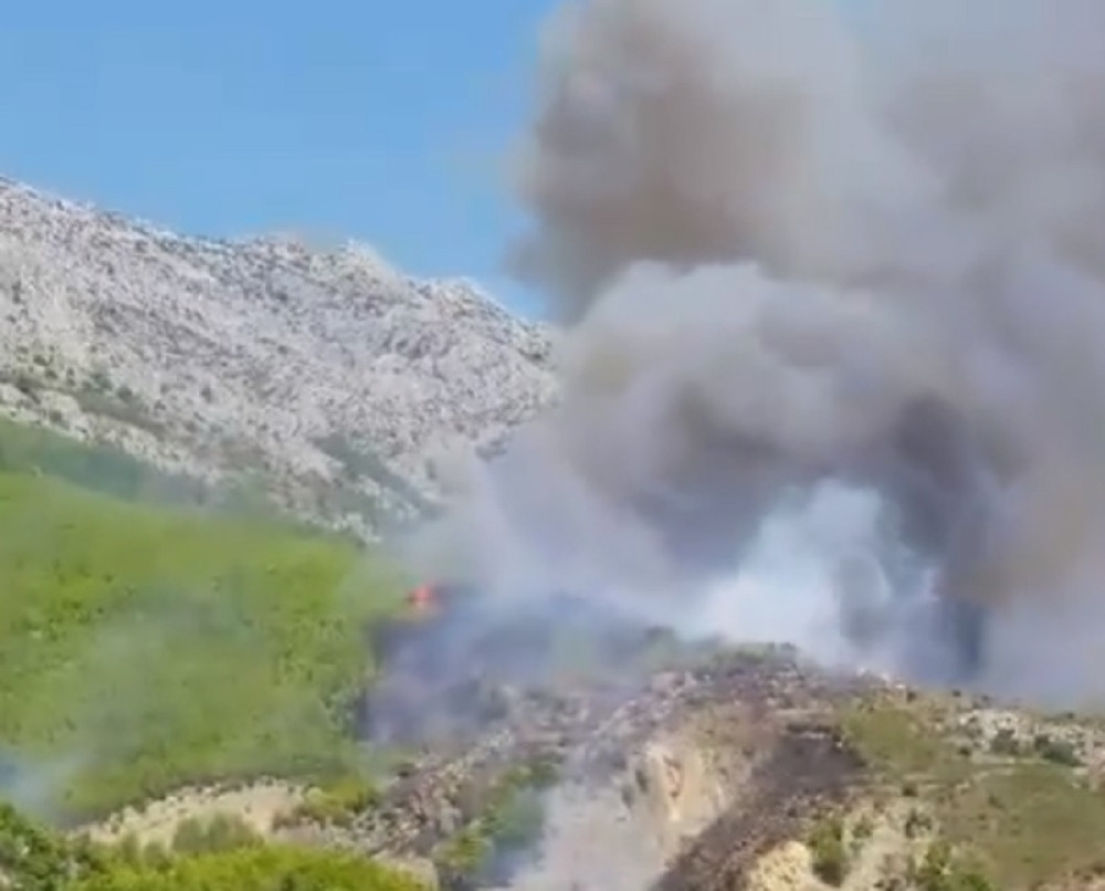 Vatra se približava kućama, meštani i turisti se već spremaju za haos