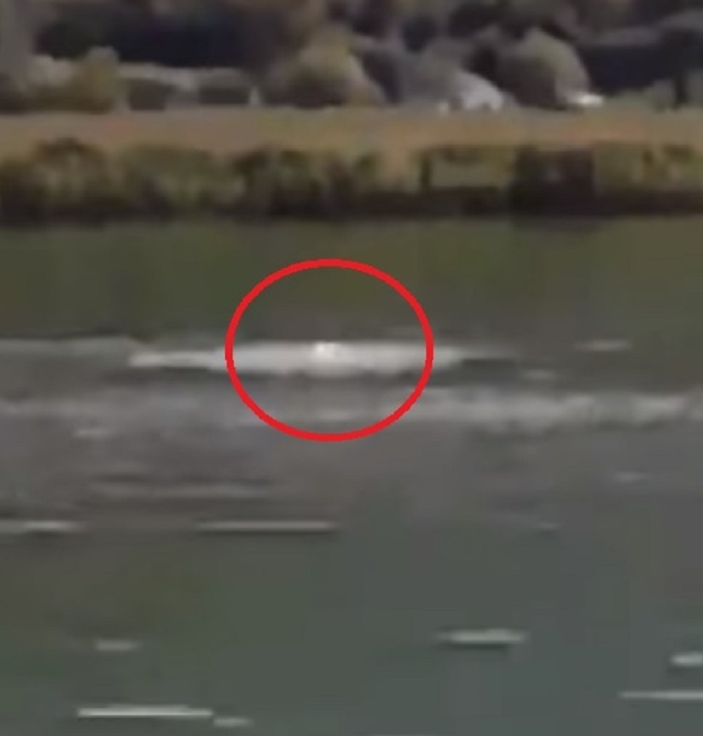 Srbin se davio u jezeru, a musliman je učinio ovo!