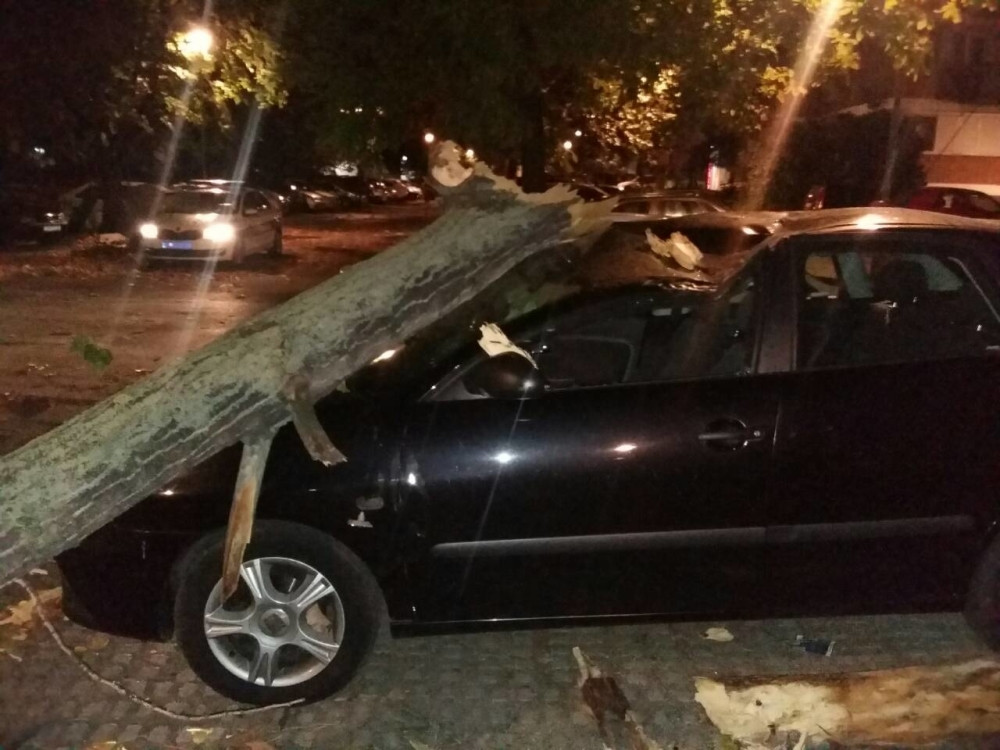 Snažni vetar brzine 110 kilometara na čas ruši sve pred sobom! Stabla lete po ulicama! Najgore tek dolazi, očekuje se potop!