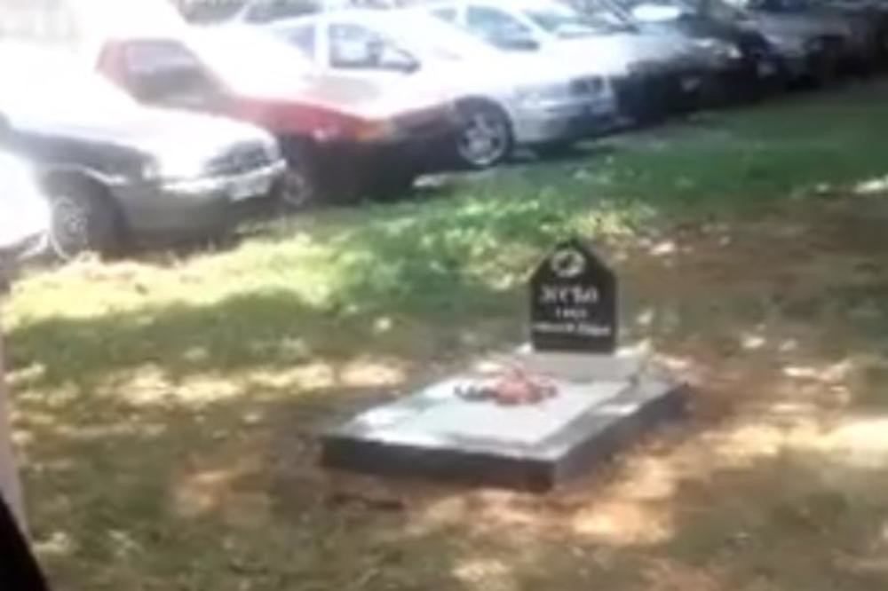 Uz njega su odrastala deca, nećete moći da zadržite suze kad vidite o kome se radi (FOTO)