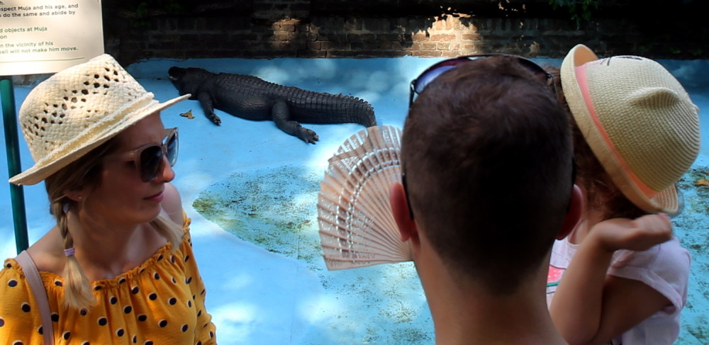 Ima 83 godine, preživeo je ratove i najstariji je iz svoje vrste u ovom trenutku!