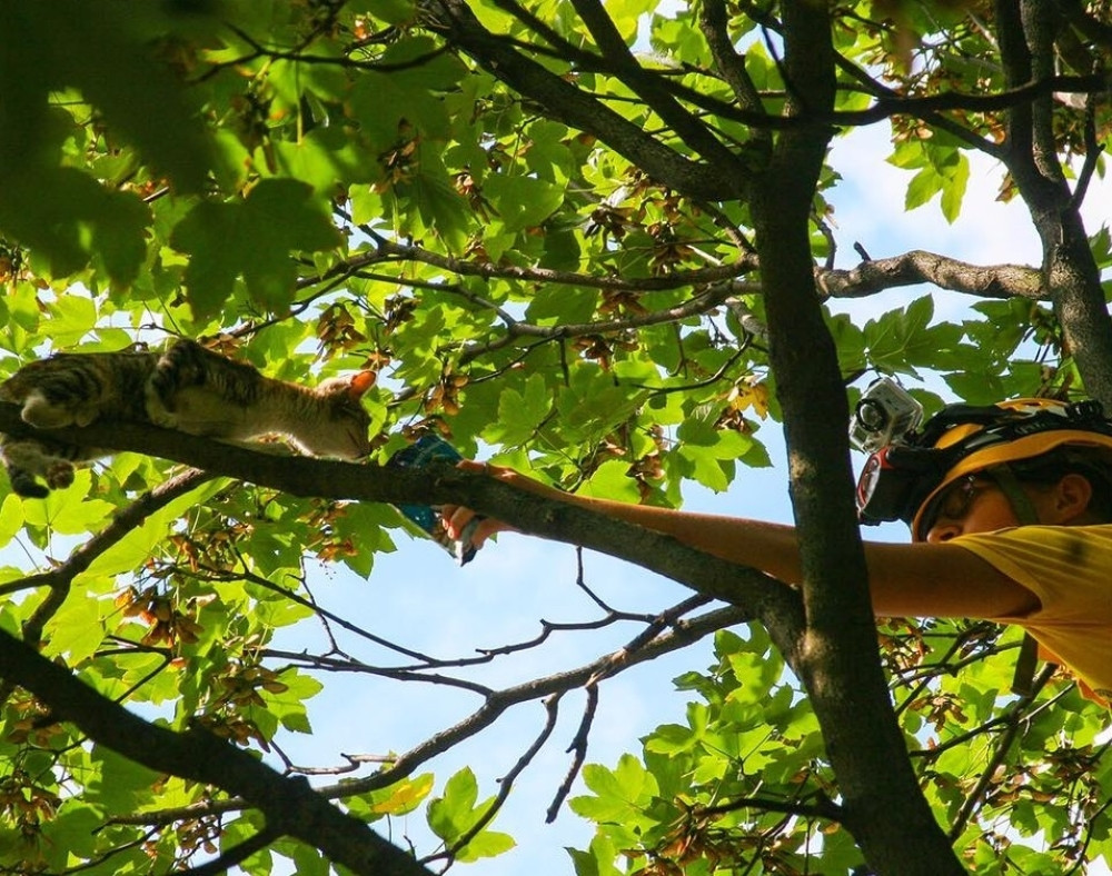 Oni se veru po drveću i ulaze u šahtove, a sve samo da bi SPASLI ŽIVOTE!