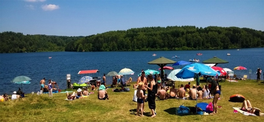 Inspektorku iz Surdulice napale SEOSKE SILEDŽIJE!