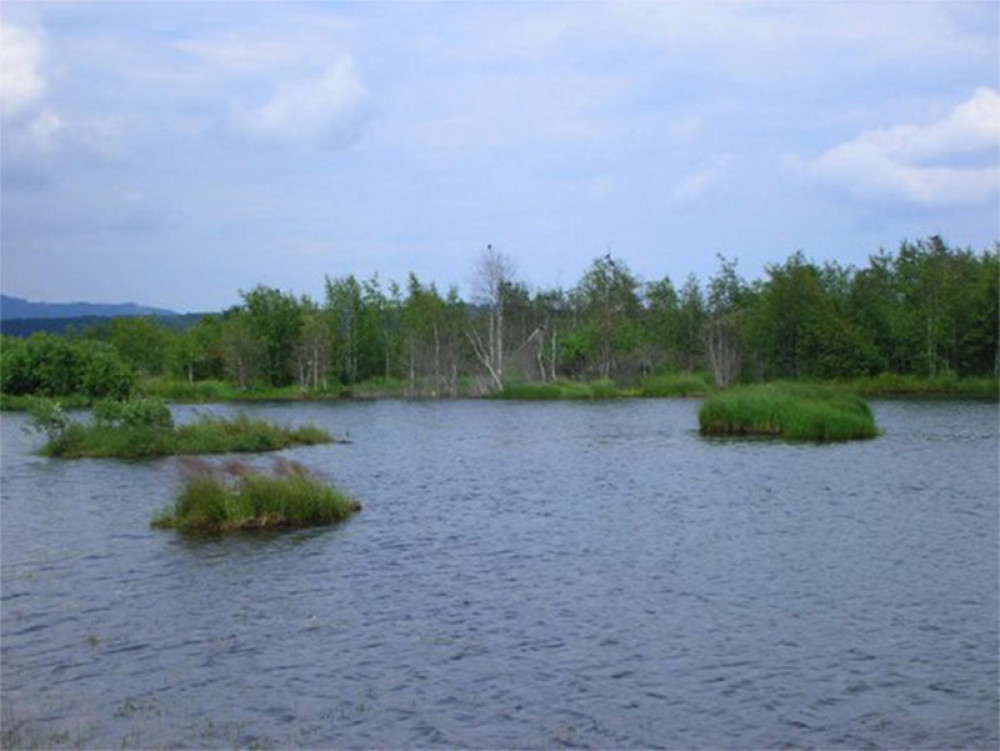 Dragan je u čamcu nasred jezera osetio trzanje, a onda je u vodi ugledao najstrašniji prizor u svom životu!