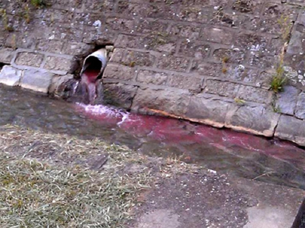 Reka u centru Vranja CRVENA OD KRVI? (FOTO)