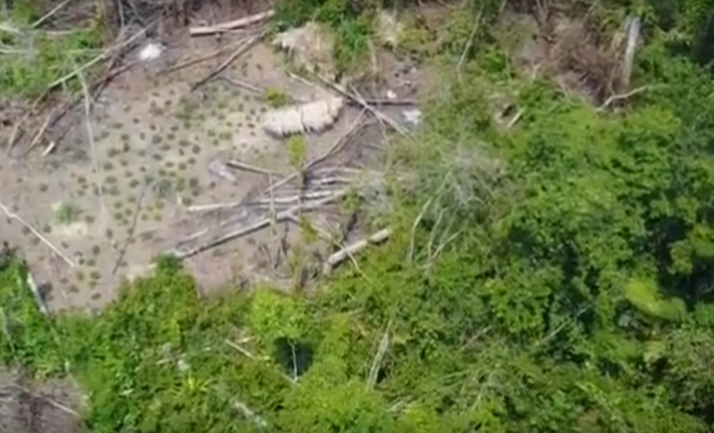 Dron snimio neverovatan prizor, niko od nas nije znao da oni postoje (VIDEO)