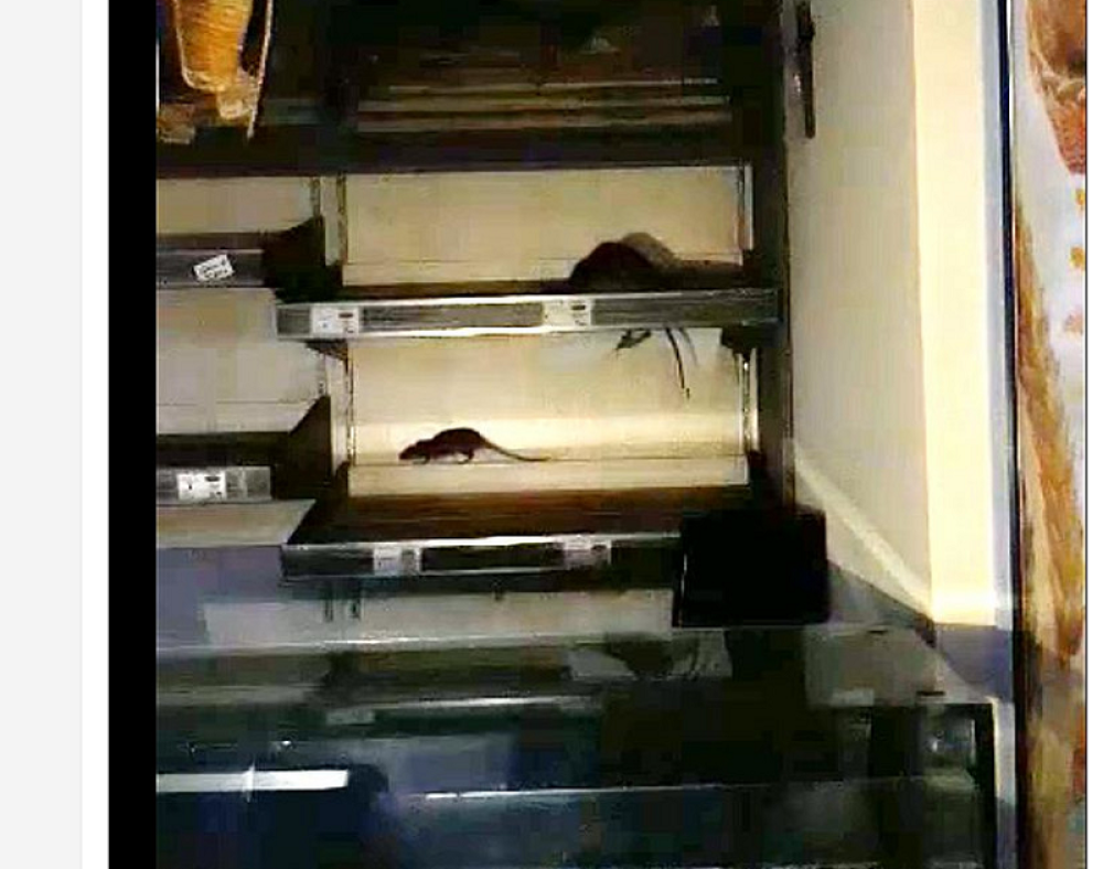 Snimak iz pekare u Splitu će vas naterati da POVRAĆATE (VIDEO)