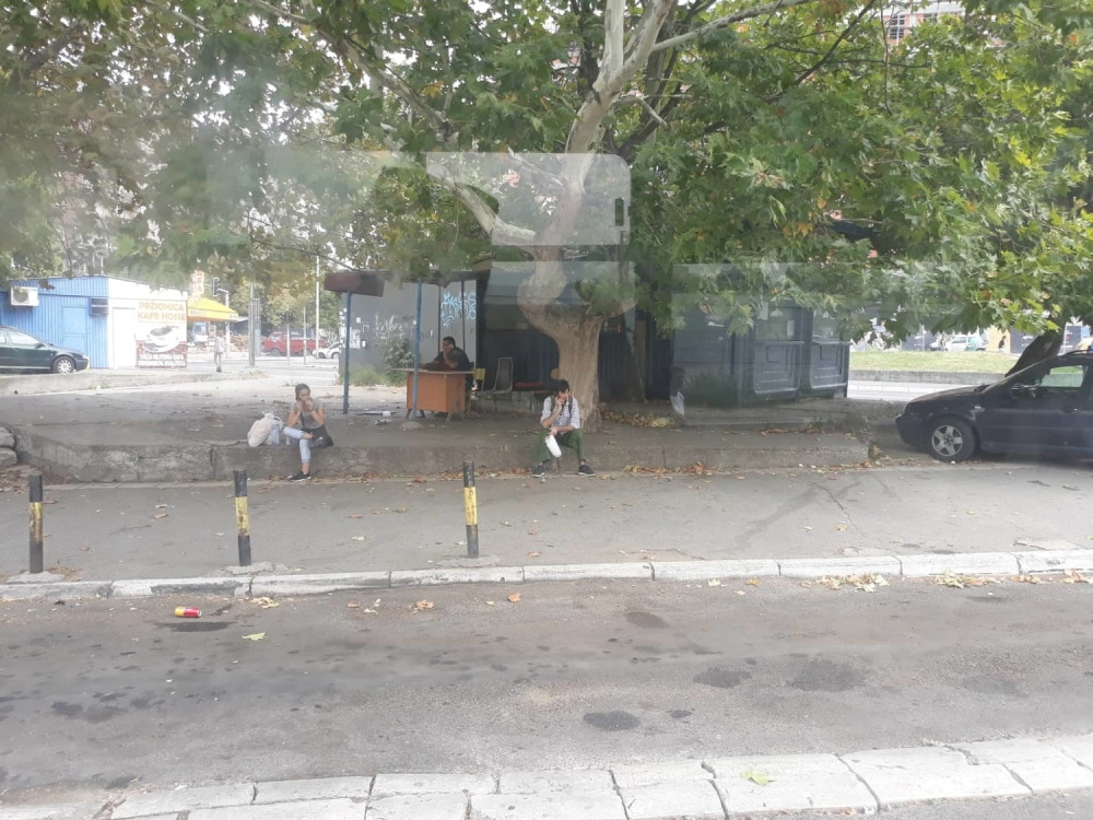 Beograđanka je sedela u autobusu i čekala da krene, a onda je ugledala prizor i prasnula u smeh, ali kraj je ipak najbolji! (FOTO)