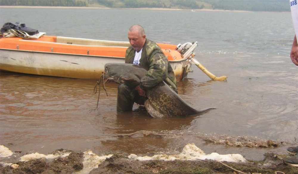 Pecaroši ulovili čudovište u Vlasinskom jezeru