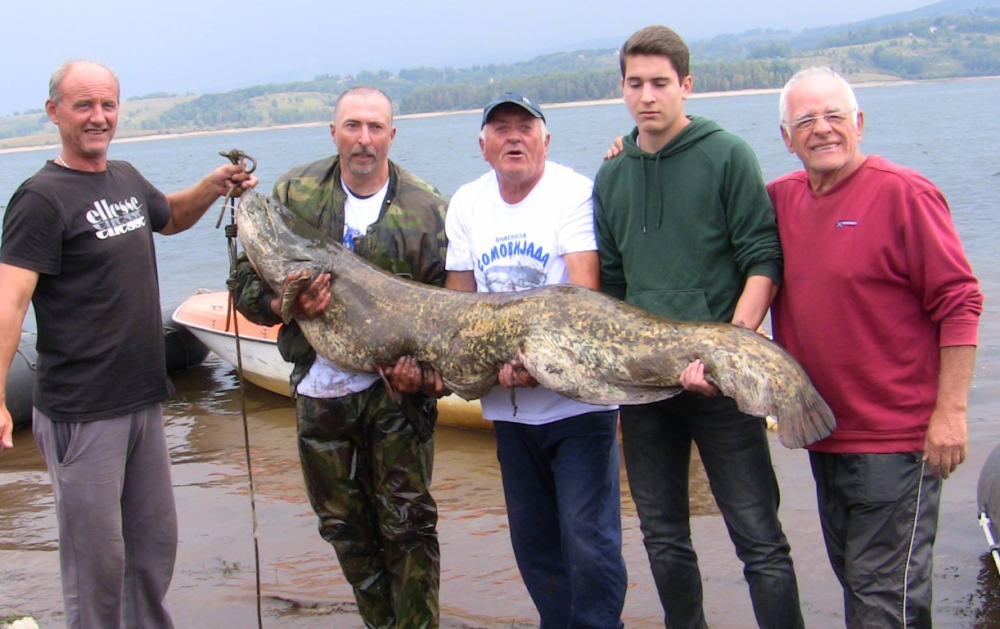 Bacili udice u Vlasinu, pa iz vode izvukli pravu GRDOSIJU (FOTO)