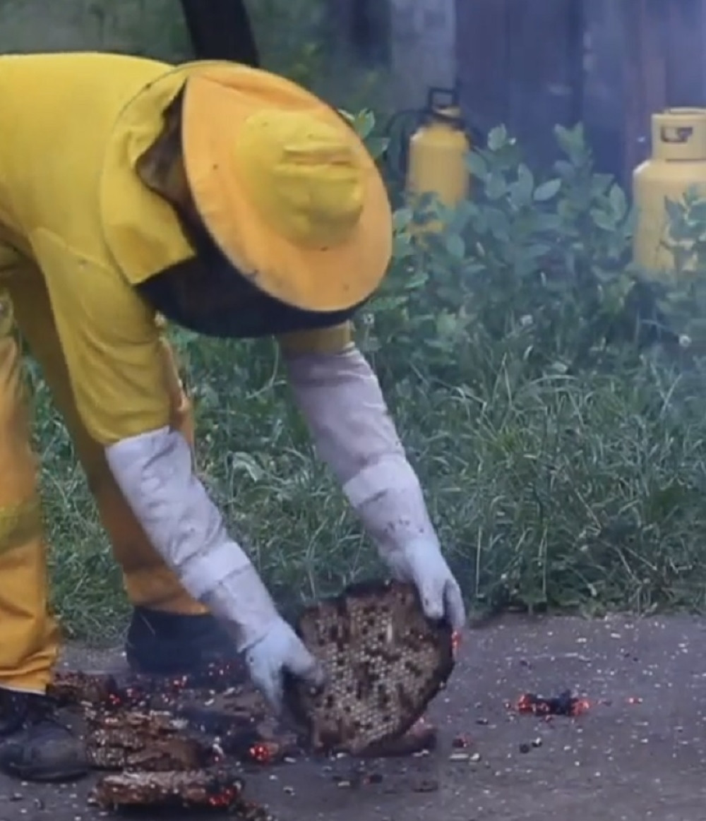 Ivica našao gnezdo sa 320.000 stršljena! USLEDILA JE DRAMA