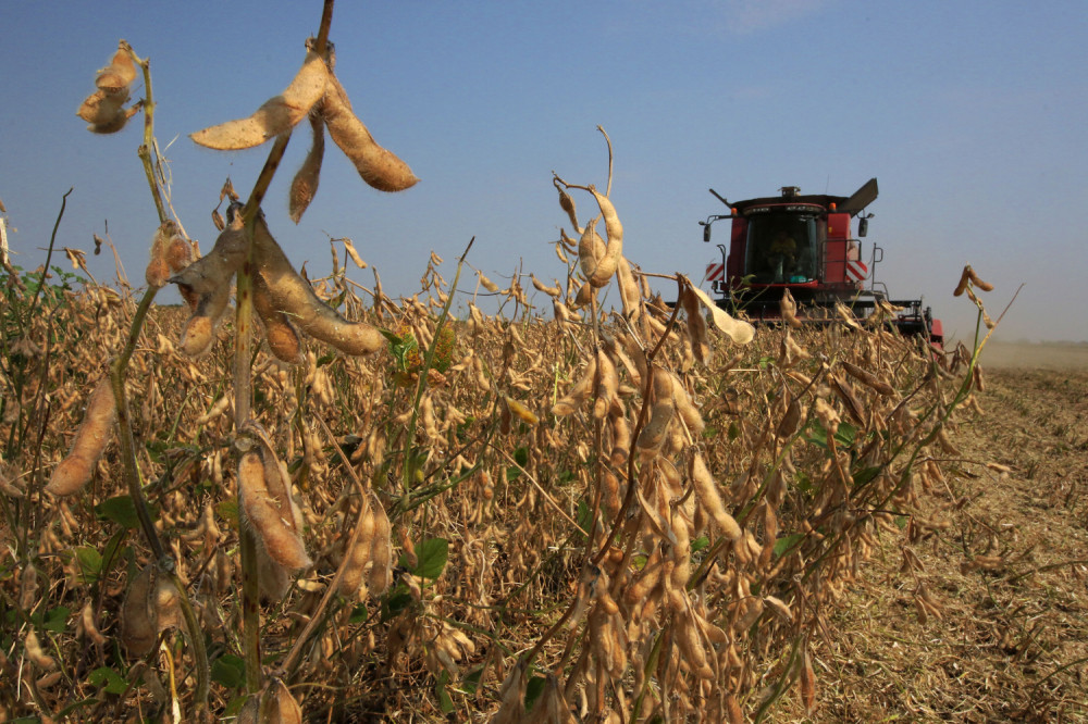 Stiže bespovratni novac! Ove uslove treba da ispunite kako biste došli do njih!