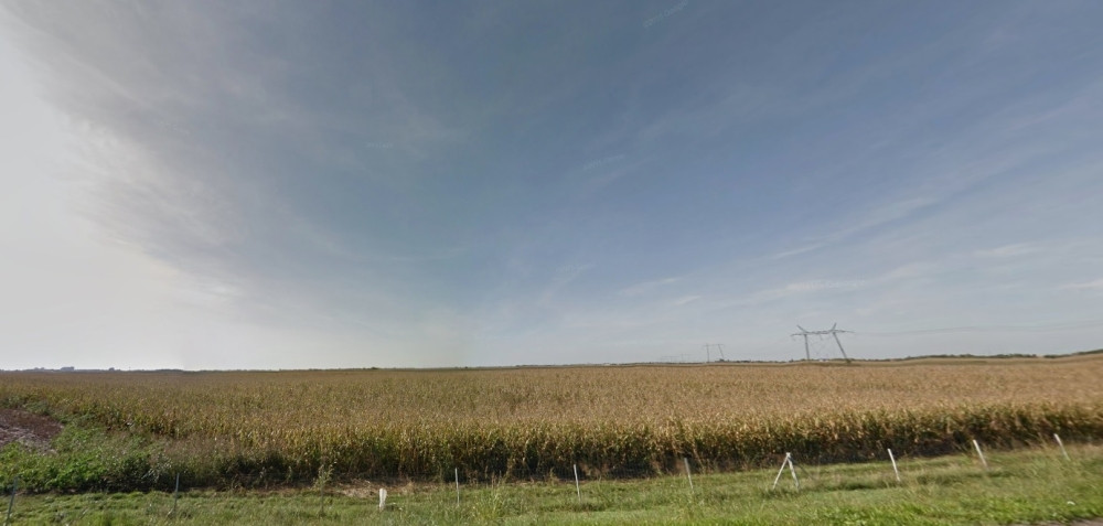 Možete da zaradite tri miliona ako ovo zasadite! Najmanja ulaganja, a velika dobit