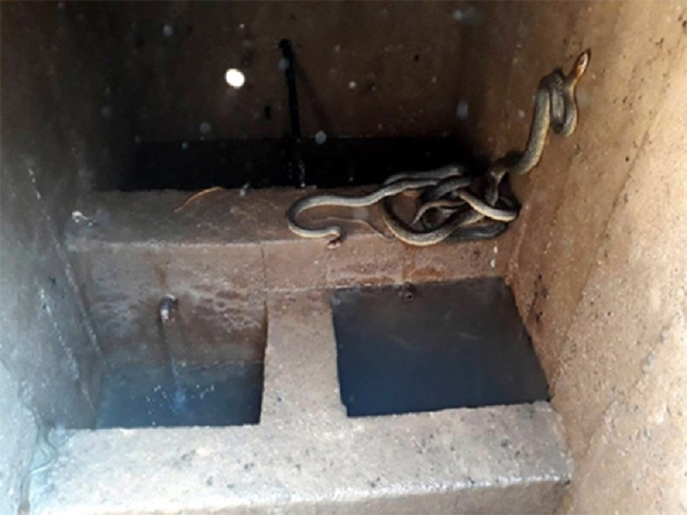 Zmije okupirale rezervoar za pitku vodu, meštani se PREPALI ZBOG SCENE!