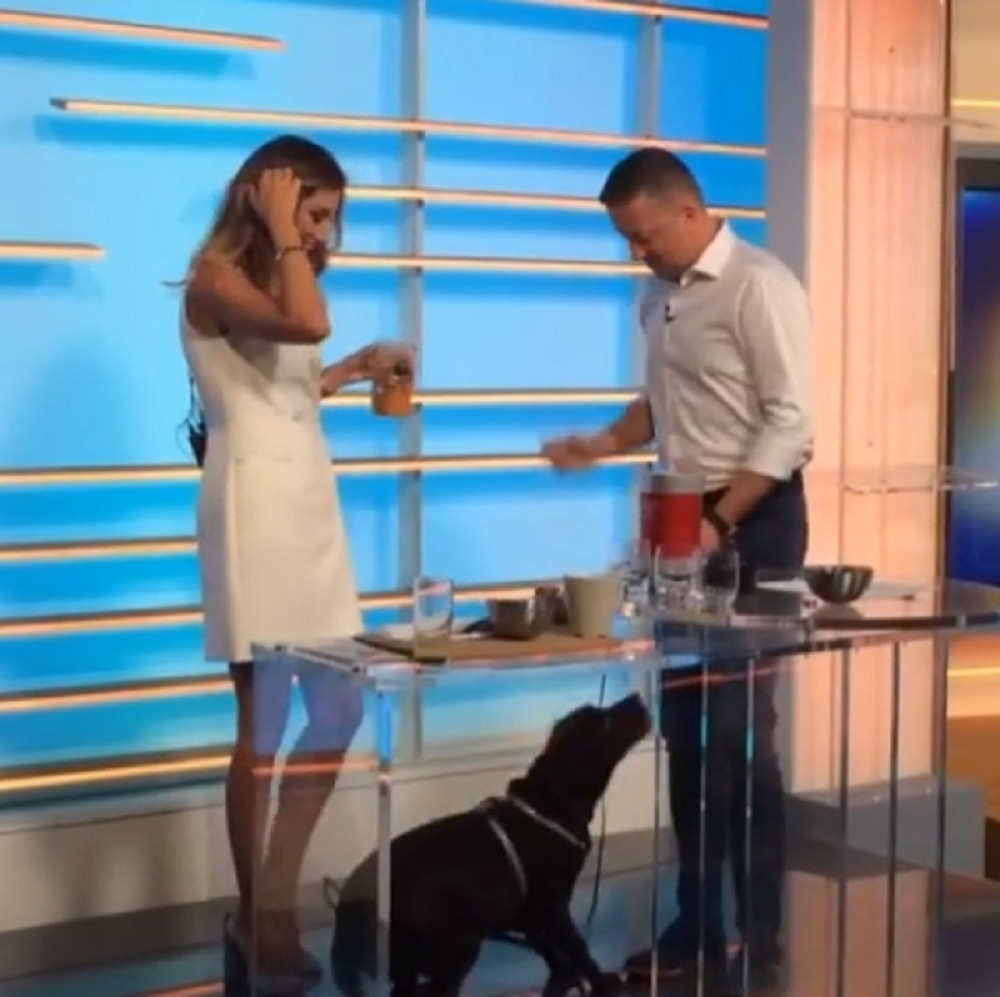 Jovana i Srđan PLAKALI u emisiji! Morali su da se ZAUVEK oproste od nje!