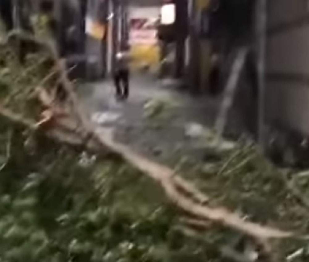 Jebi razorio Japan, lasta naletela i pobila mnogo ljudi (UZNEMIRUJUĆI SNIMCI)