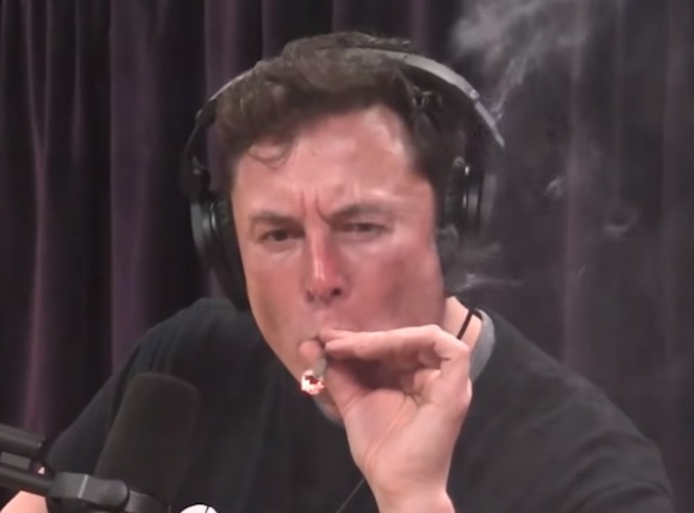 Ovo je fatalna devojka zbog koje je Ilon Mask izgubio milione i lagao svet