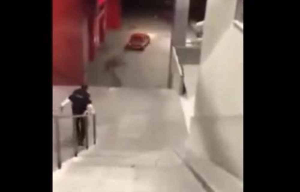 Bežao od policije pa se kolima sjurio niz stepenice, sada je otkriven i razlog! ŠOKIRAĆETE SE! (VIDEO)