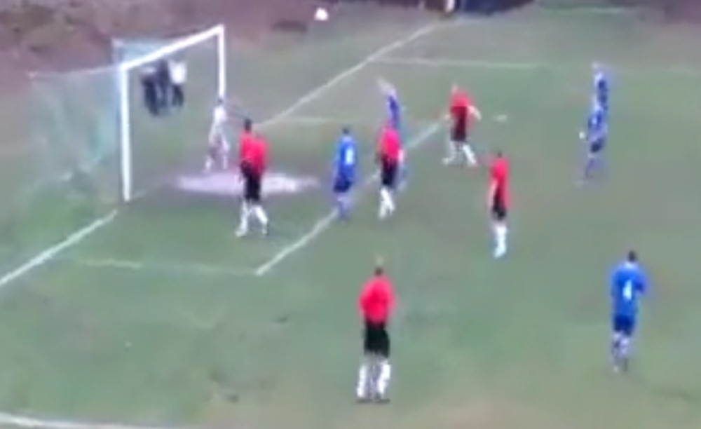 Care, jesi zaista tako TRAPAV ili si igrao za tiket? (VIDEO)