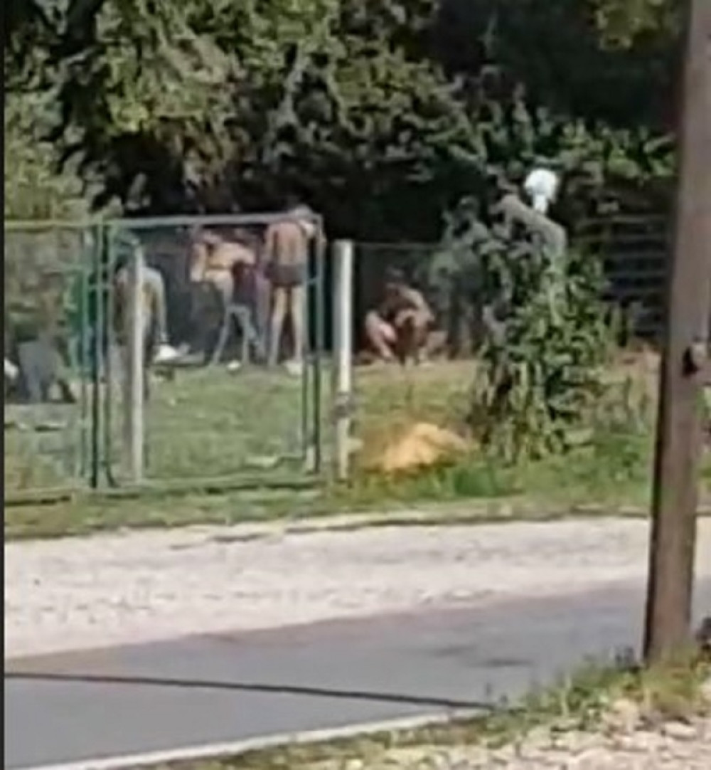 Migranti napravili kamp na groblju, skidaju se goli i vrše nuždu pored spomenika (VIDEO)