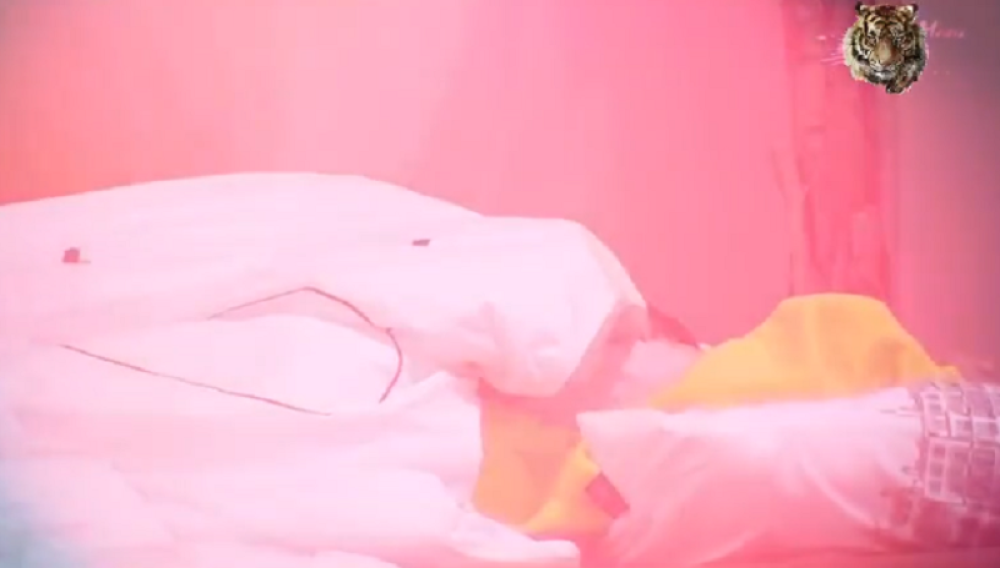 TRAJALO JE DO JUTRA! Stanija i Vladimir ispod jorgana, baš ih briga što ih kamere snimaju!