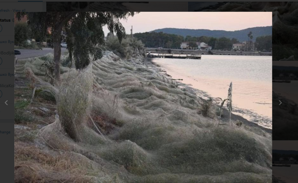 Ako se plašite paukova, NE IDITE u ovo grčko letovalište , celo je opkoljeno gustom PAUČINOM