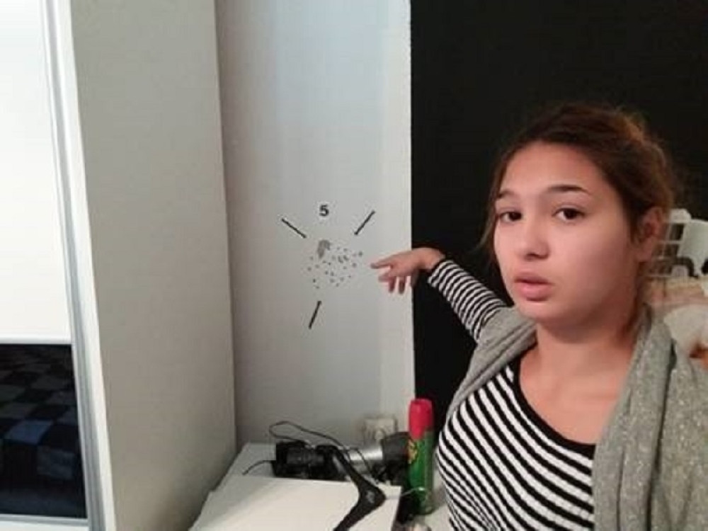 SVEKRVA HTELA DA UBIJE CELU SNAJINU PORODICU Isidora (18) do detalja opisala krvoproliće u Boru, a razlog je bizaran!