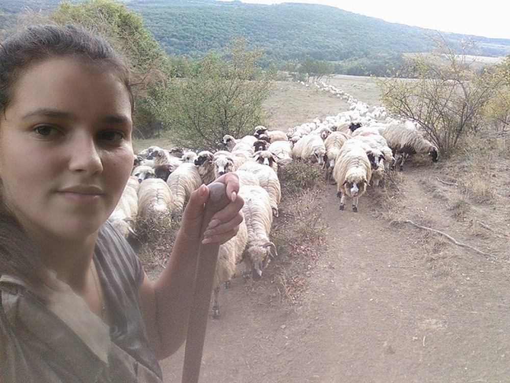 Sofija umesto izlazaka i skupih krpica bira ovce (FOTO)